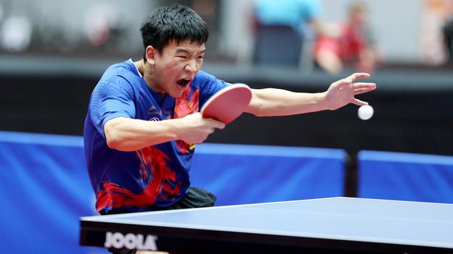 由于战术的 由于战术的