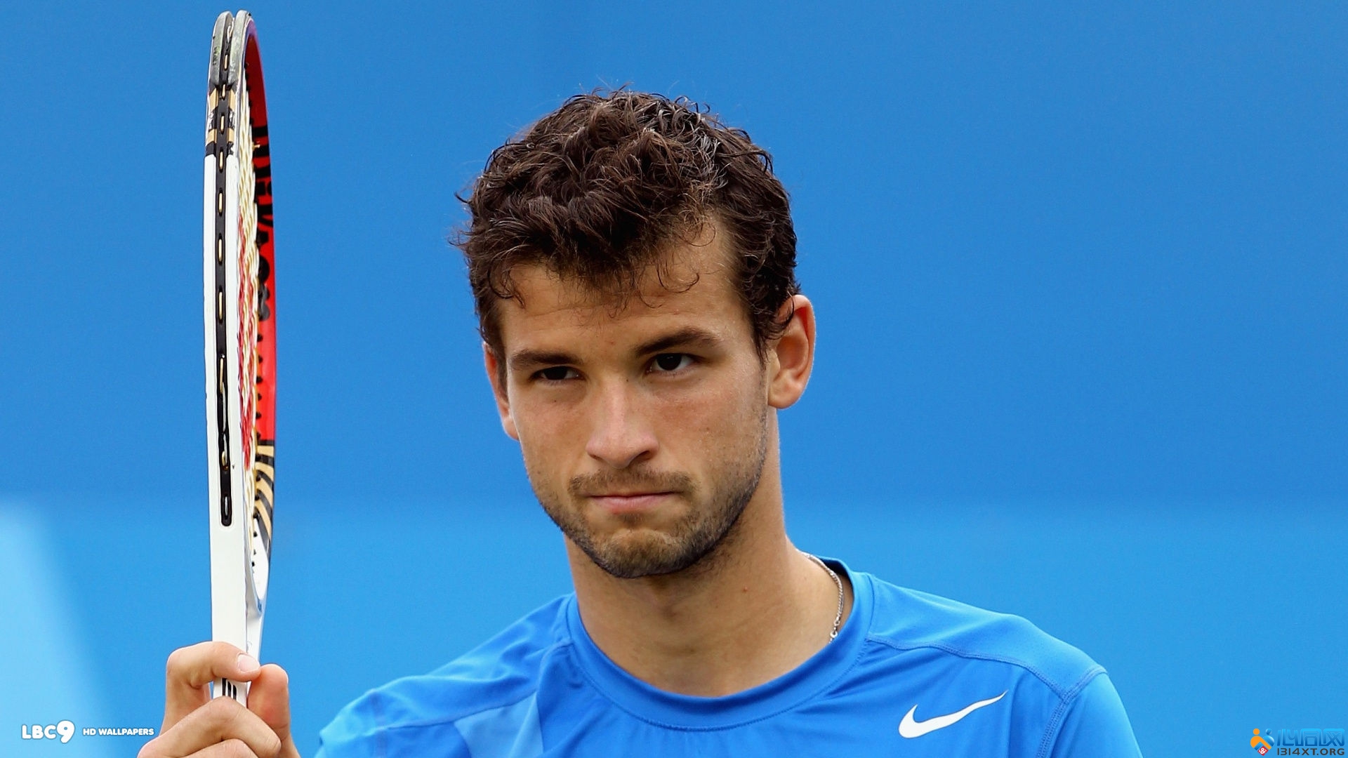 领或者功能 领或者功能